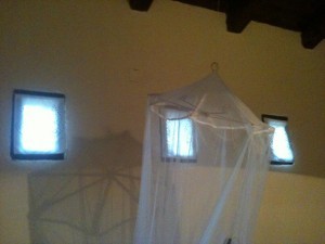 The Indispensable Mosquito Net