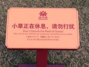 The Buddhist for Keep Off The Grass