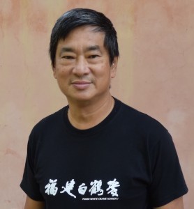 Dennis Ngo - Chief Instructor, Fujian White Crane Kung & Tai Chi