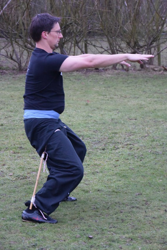 RockSolid Horse Stance Training