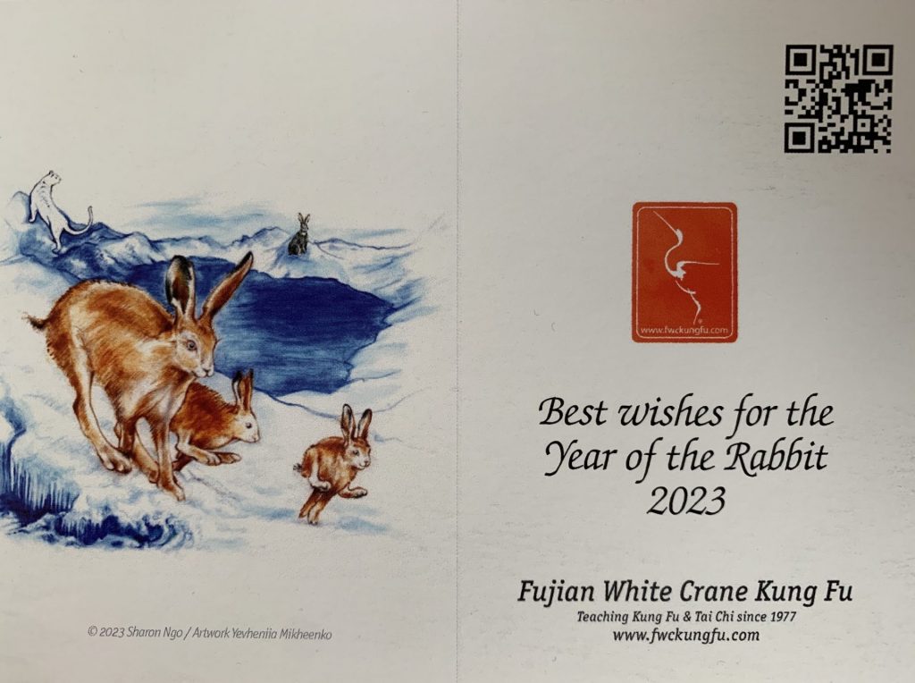 The Year of the Rabbit FWC Postcard